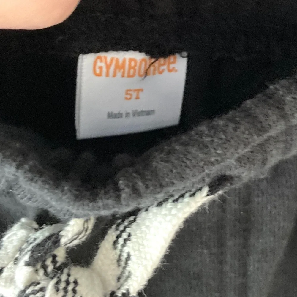Gymboree Henley top and sweatpants size 5